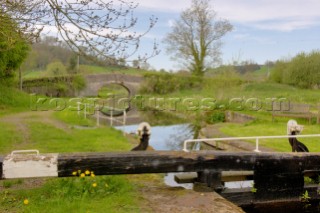 Top lock gate and distinctive paddle gear at Brithdir locks,Montgomery canal,near Berriew,Powys,Wales,UK.May 2006.
