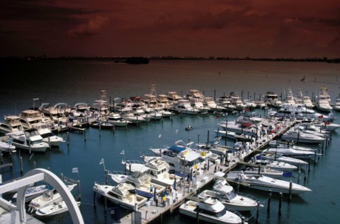 Power boats moored in marina  Miami FL