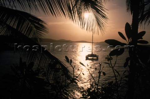 Silhouetted catamaran at sunset between palm trees St Thomas US Virgin Islands Nance TrueworthyAuror