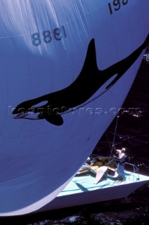 Bowman on foredeck of racing yacht under huge spinnaker