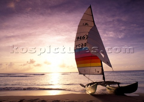 Catamaran at Sunset Barbados  Travel