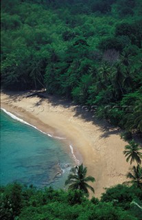 Beach on Tobago, Caribbean