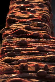 Fishing nets laid out to dry.