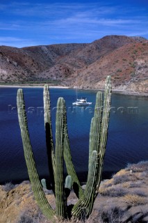 Boats in the Sea of Cortez, Mexico