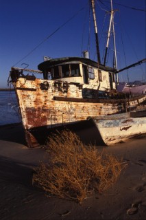 Fishing boats, Baja California