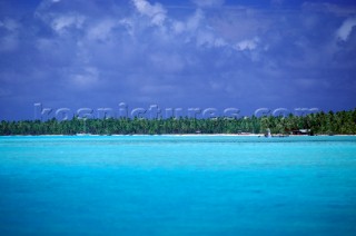 Palm trees on sandy shore - Tahiti