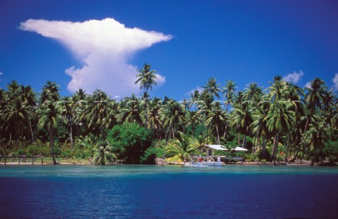 Tahitian Island Anvil shaped cloud in clear blue sky over palm trees