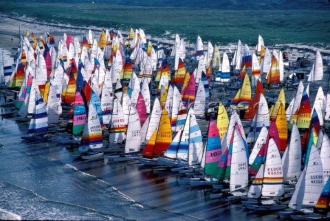 Fleet of Hobie Cat racing dingies on the beach