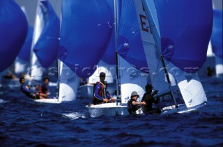 Fleet of racing dinghies