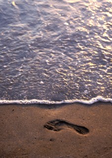 Footprint in wet sand at waters edge