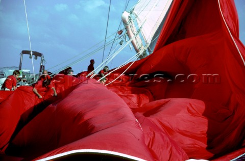 Crew strain to pull in the huge red spinnaker onboard the classic yacht Adela