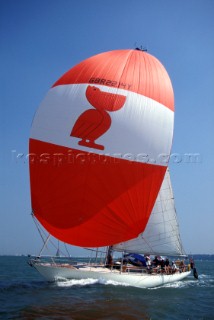 Cruising yacht sailing under red spinnaker