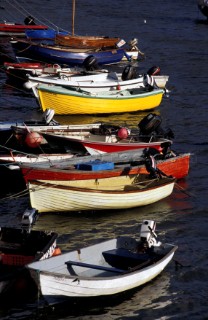 Moored work boats and tenders