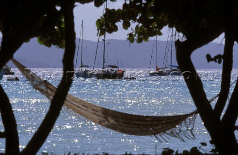 Hammock between two trees by the beach Caribbean