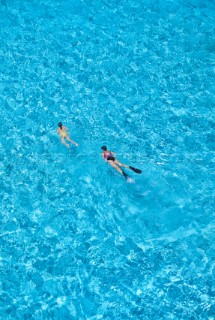 Two people snorkelling in clear, shallow water - Caribbean