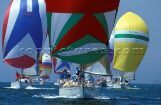 Fleet of Swans racing down wind under spinnaker