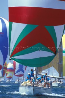 Swans under spinnaker.