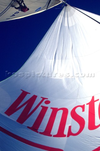 Mast Spinnaker and Main sail