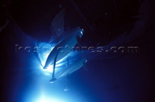 Model yachts racing in a blue swimming pool shot from underwater with lighting, showing keels and rudders