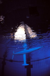 Model yachts racing in a blue swimming pool shot from underwater with lighting, showing keels and rudders