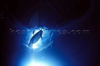 Model yachts racing in a blue swimming pool shot from underwater with lighting, showing keels and rudders