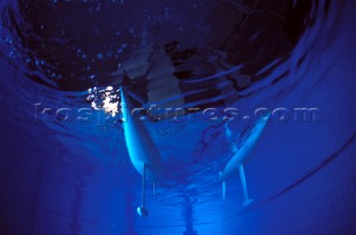 Model yachts racing in a blue swimming pool shot from underwater with lighting, showing keels and rudders