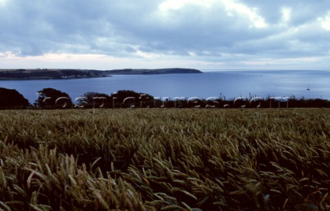 Cornish Coastline Falmouth