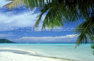 Deserted beach scene with yachts at anchor in the bay and an overhanging palm tree