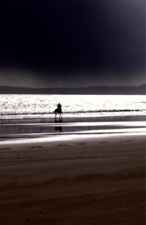 Horse and rider on a beach under a stromy sky