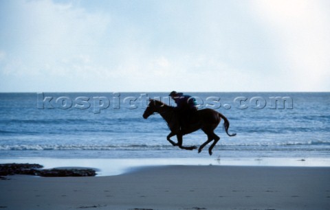 Horse and rider galloping along beach 