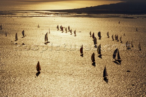 Fleet of racing yachts in the Solent UK