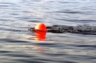 Tides in the solent