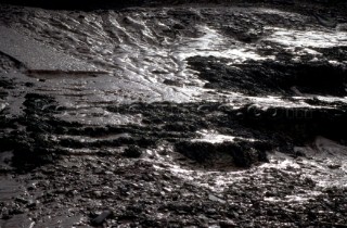 Detail of shingle beach at low tide