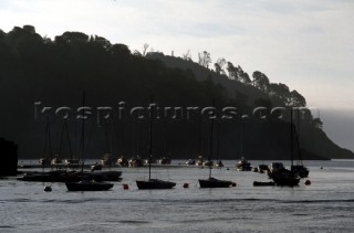 Morning on the Dart river, Devon, UK