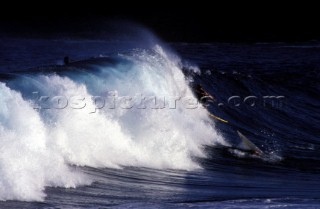 Surfers on breaking wave at Whale Beach, Sydney, Australia