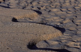 Texture of wet sand