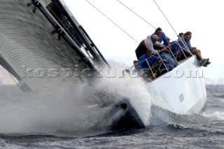 Wally Carrera Maxi Yacht Rolex Cup 2003, Porto Cervo Sardinia