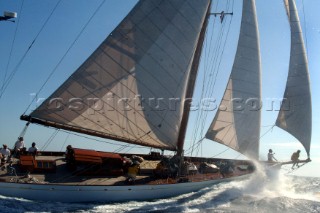 Cannes, France 25 September 2003. Prada Challenge for Classic Yachts - Regates Royales 2003. Third day - no racing for heavy wind conditions . Belle Aventure. Photo:Guido Cantini/