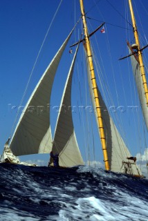 Cannes, France 25 September 2003. Prada Challenge for Classic Yachts - Regates Royales 2003. Third day - no racing for heavy wind conditions . Lelantina. Photo:Guido Cantini/