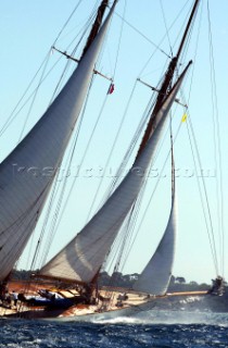 Cannes, France 25 September 2003. Prada Challenge for Classic Yachts - Regates Royales 2003. Third day - no racing for heavy wind conditions . Eleonora. Photo:Guido Cantini/