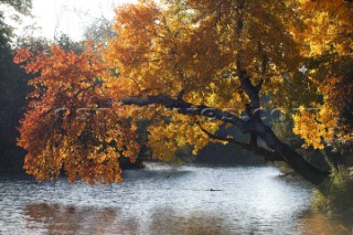 Autumn Leaves in Battersea Park London