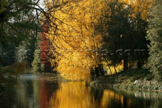 Autumn Leaves in Battersea Park London