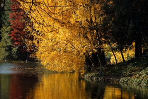 Autumn Leaves in Battersea Park London