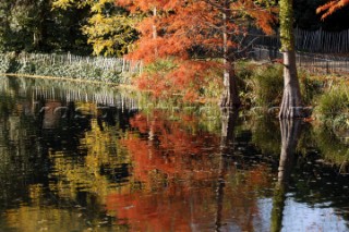 Autumn Leaves in Battersea Park London