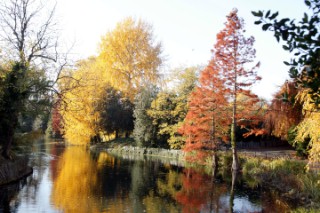 Autumn Leaves in Battersea Park London