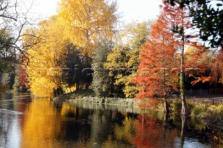 Autumn Leaves in Battersea Park London