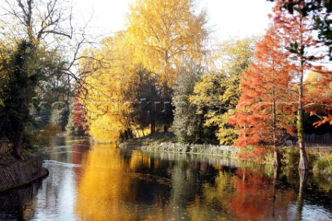 Autumn Leaves in Battersea Park London