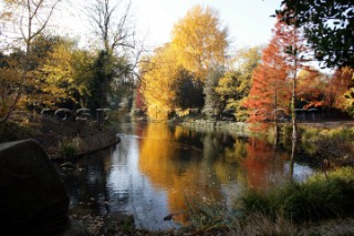 Autumn Leaves in Battersea Park London