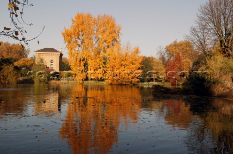 Autumn Leaves in Battersea Park London