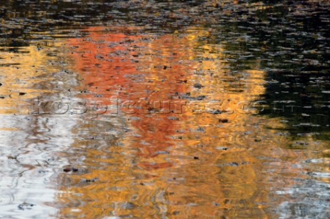 Autumn Leaves in Battersea Park London